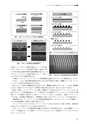 国際印刷大学校研究報告　第14巻