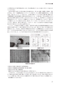 国際印刷大学校研究報告　第15巻