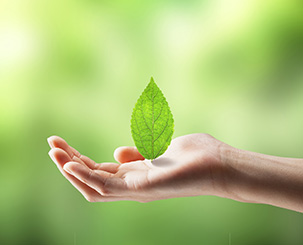 CSR
