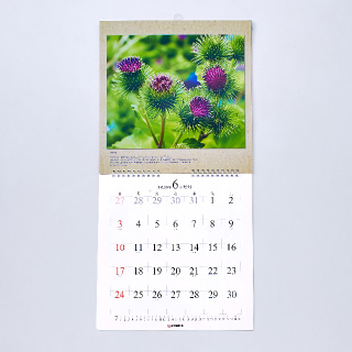 Calendars