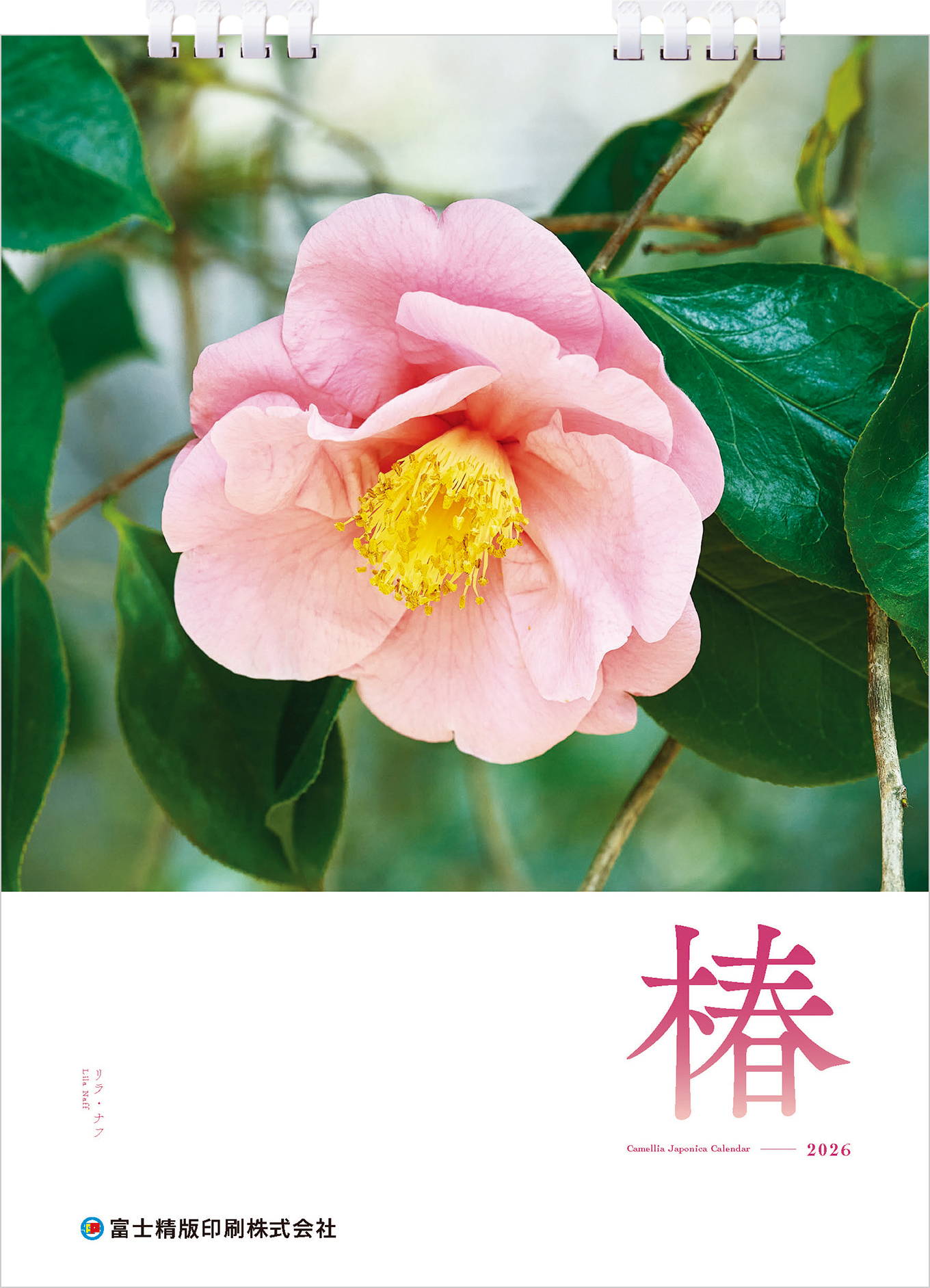 表紙のツバキ リラ・ナフ